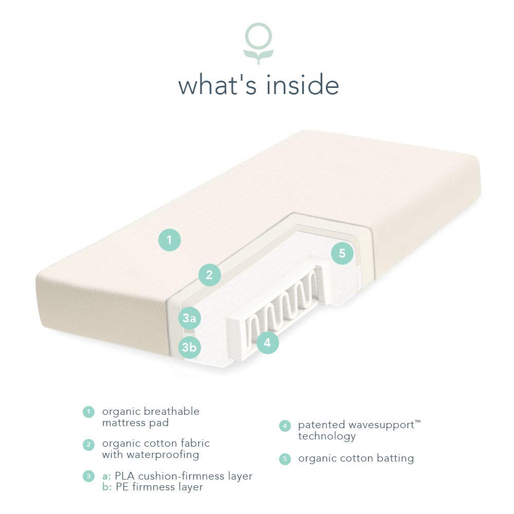 Organic 2-Stage Crib Mattress with Protector Pad V739745