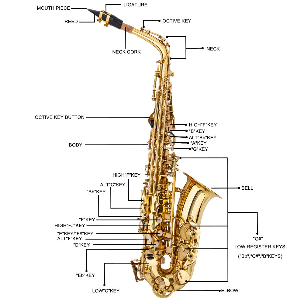 Alto Saxophone W64133