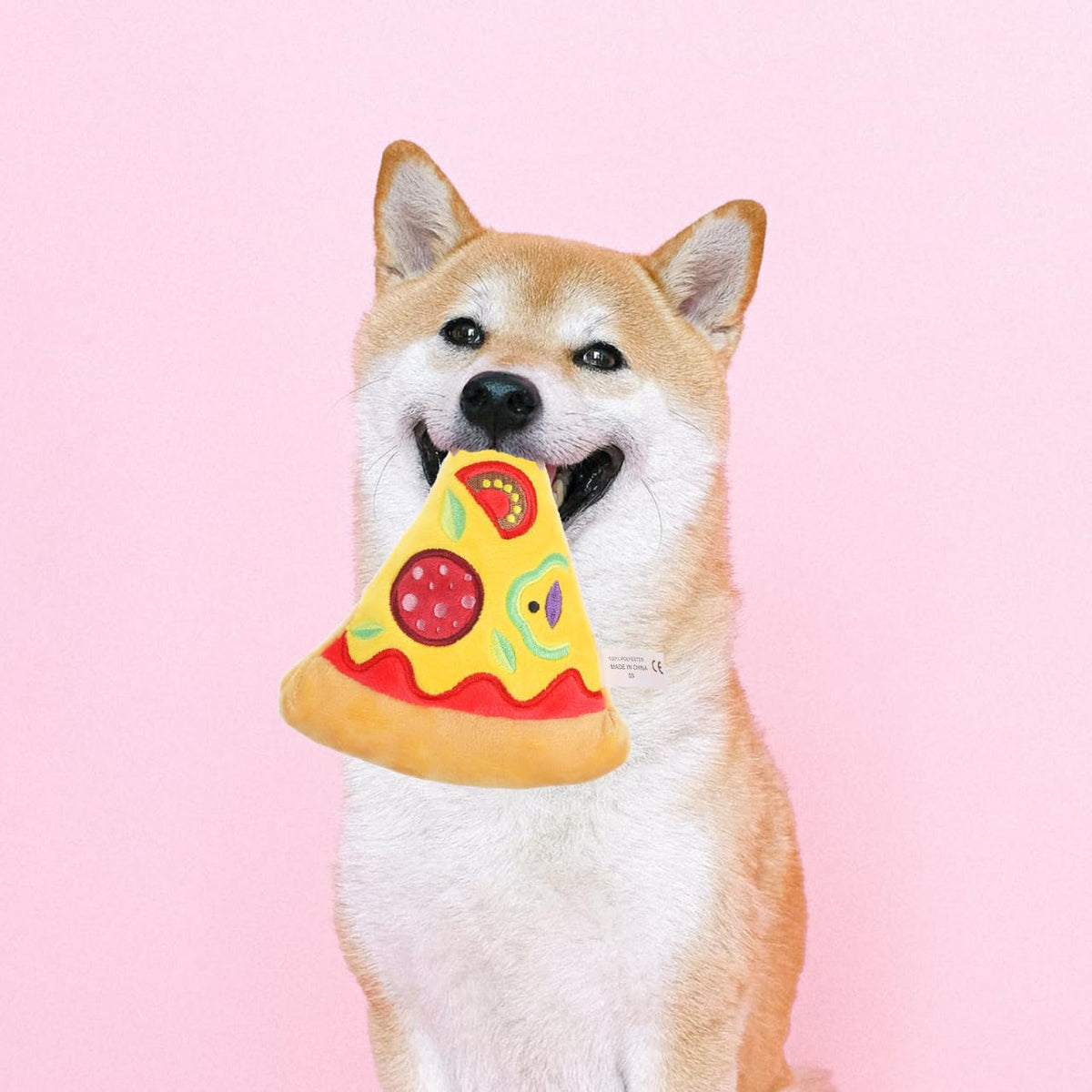 Squeaky Pizza Plush Dog Chew Toy 1 Pack G348131