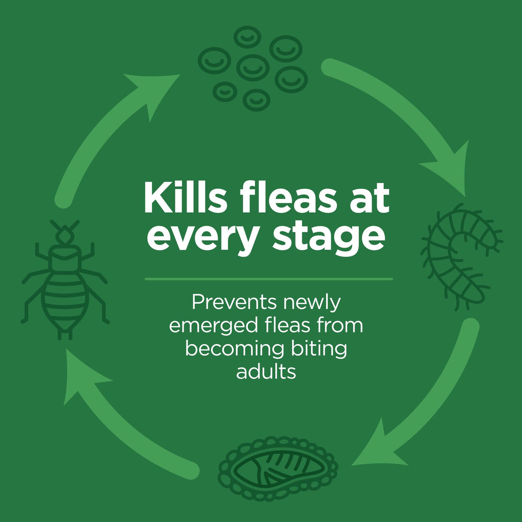 Flea and Tick Topical for Cats 3 Dose Z998