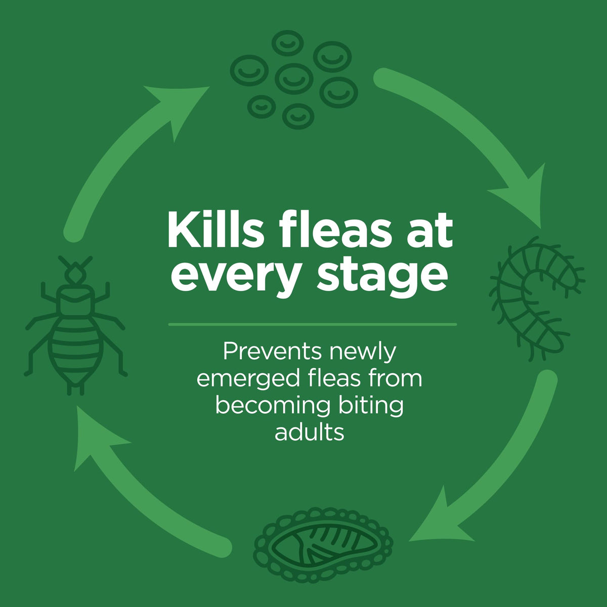 Flea and Tick Topical for Cats 3 Dose Z998