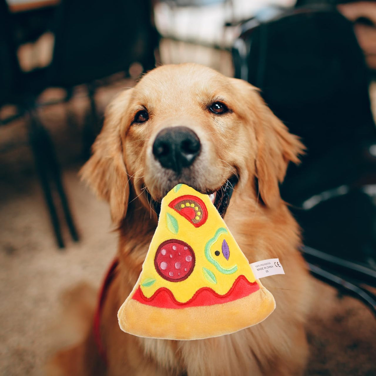 Squeaky Pizza Plush Dog Chew Toy 1 Pack G348131