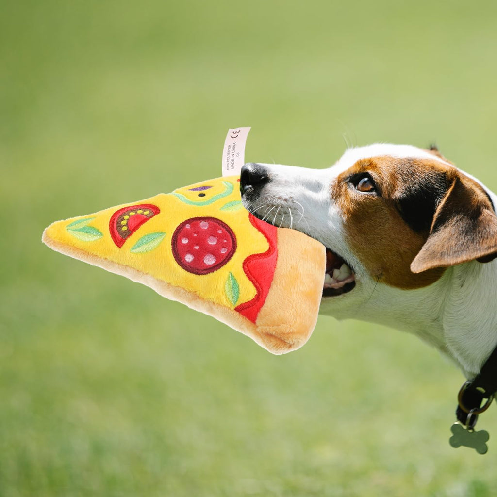 Squeaky Pizza Plush Dog Chew Toy 1 Pack G348131