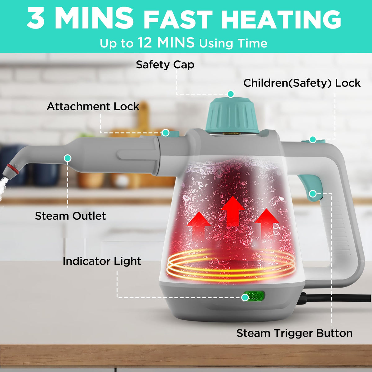 Handheld Steam Cleaner W2348