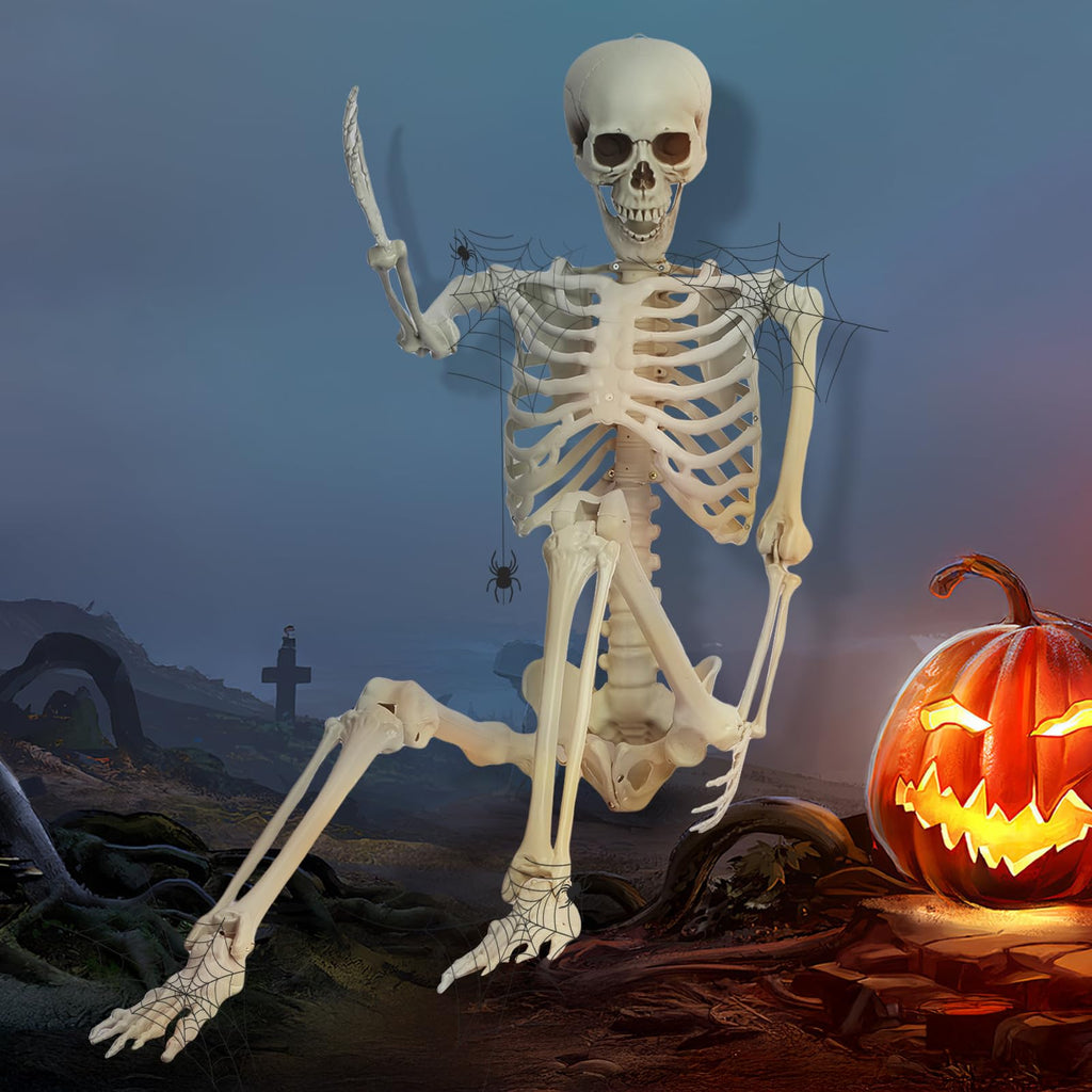 5.4FT Poseable Life Size Plastic Skeleton O95293