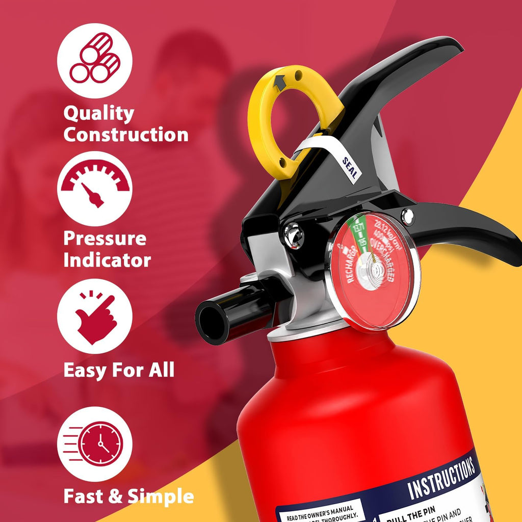 2.5 lb Dry Chemical Fire Extinguisher J1902