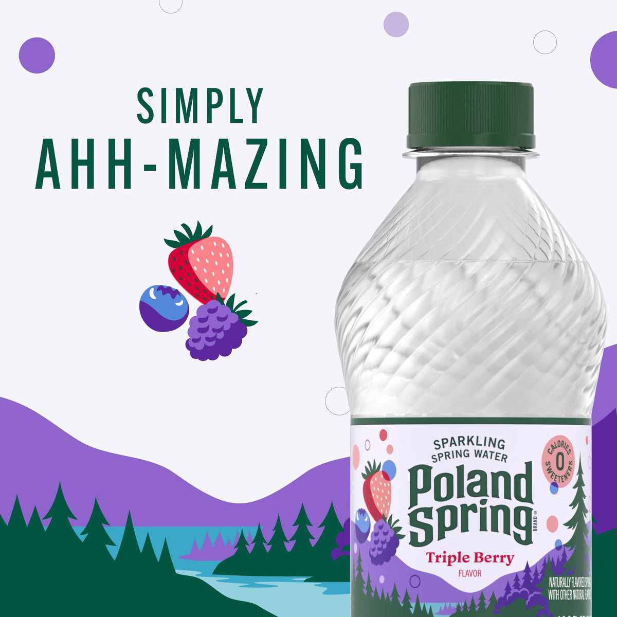 Sparkling Bottled Water 33.8 Fl Oz Y75579