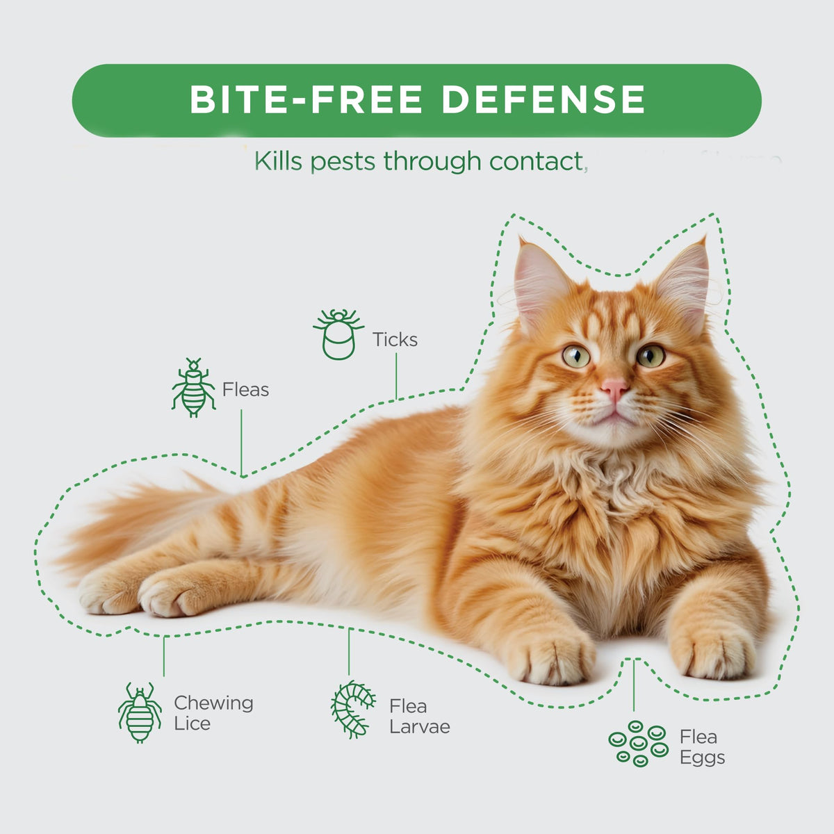 Flea and Tick Topical for Cats 3 Dose Z998