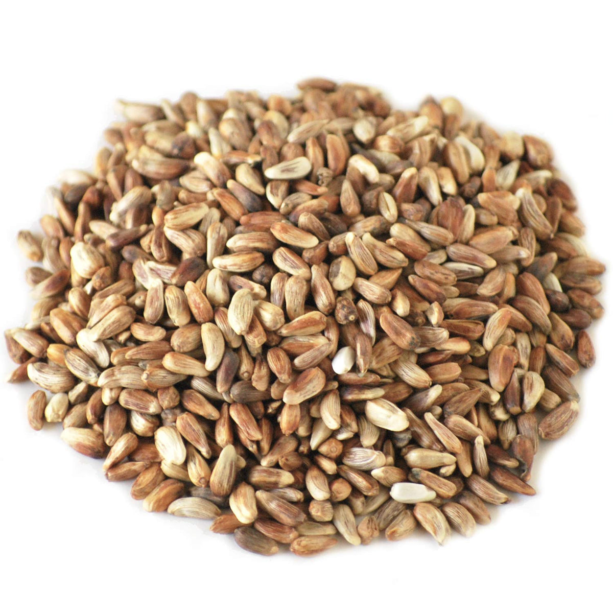 Safflower Seed Wild Bird Food X380974