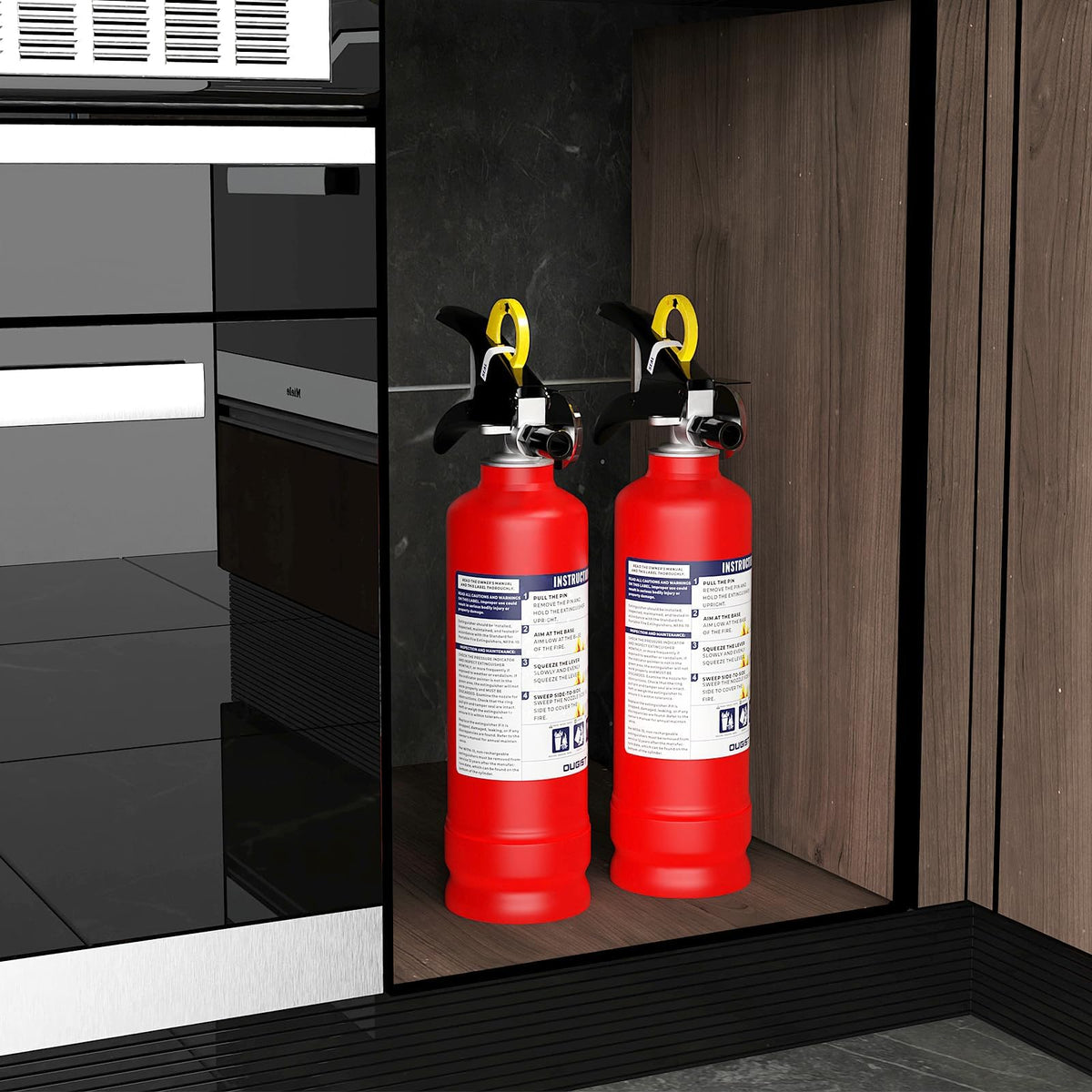 2.5 lb Dry Chemical Fire Extinguisher J1902