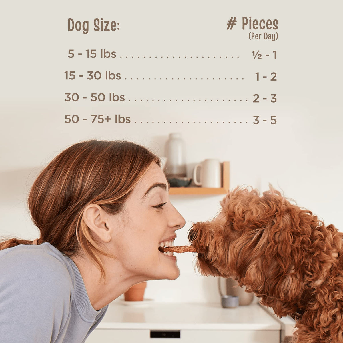Chicken Jerky Tenders Dog Treats 26 oz P66707