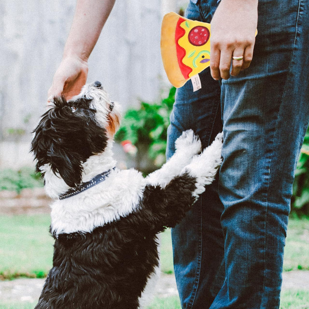 Squeaky Pizza Plush Dog Chew Toy 1 Pack G348131
