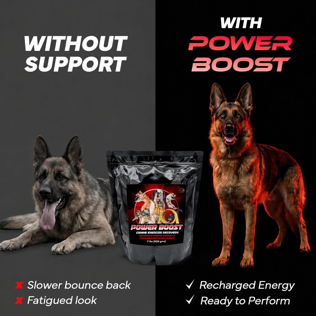 Electrolytes 2 Lbs P110350