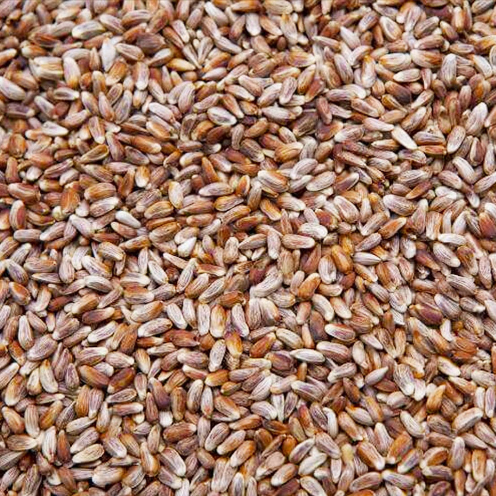 Safflower Seed Wild Bird Food X380974