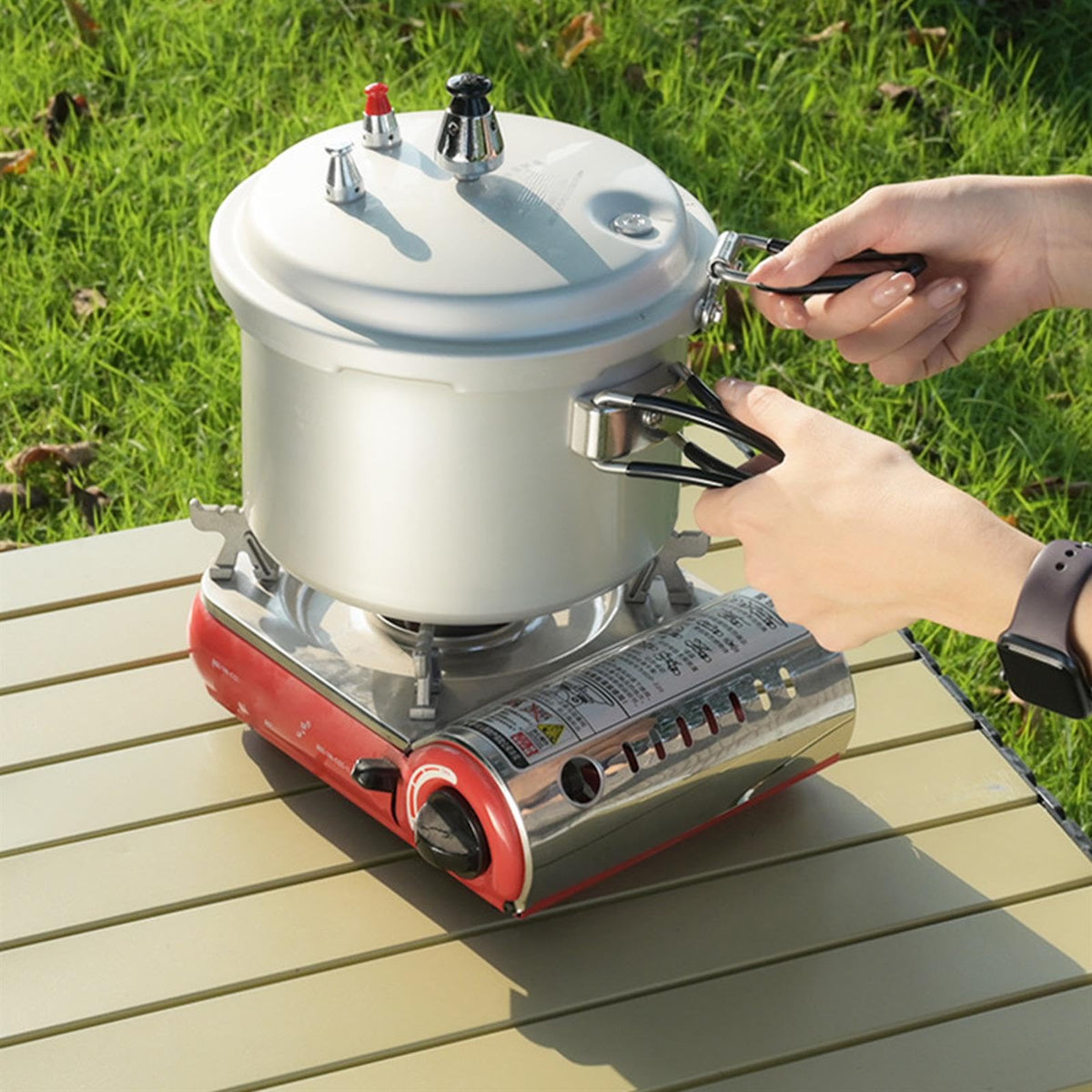 2L Aluminum Alloy Pressure Cooker W9958