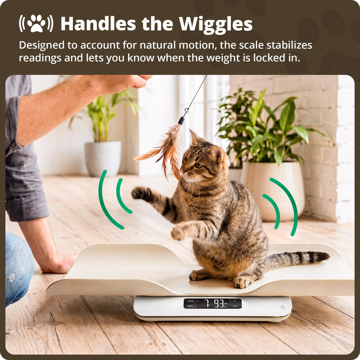 Digital Pet Scale for Cats, Dogs & Small Animals C6283