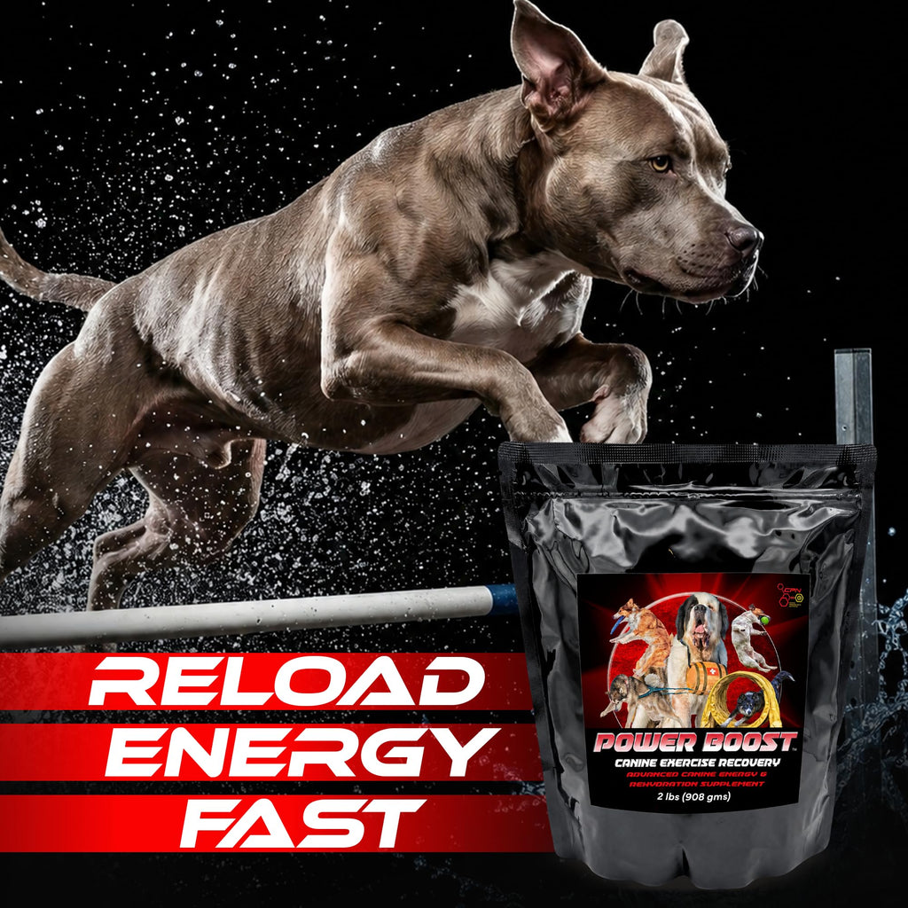 Electrolytes 2 Lbs P110350
