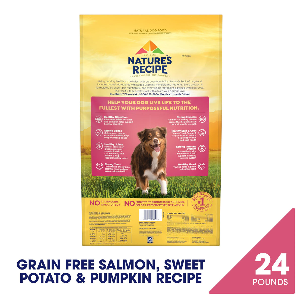 Grain Free Salmon Dry Dog Food 24 lb. Bag K14017