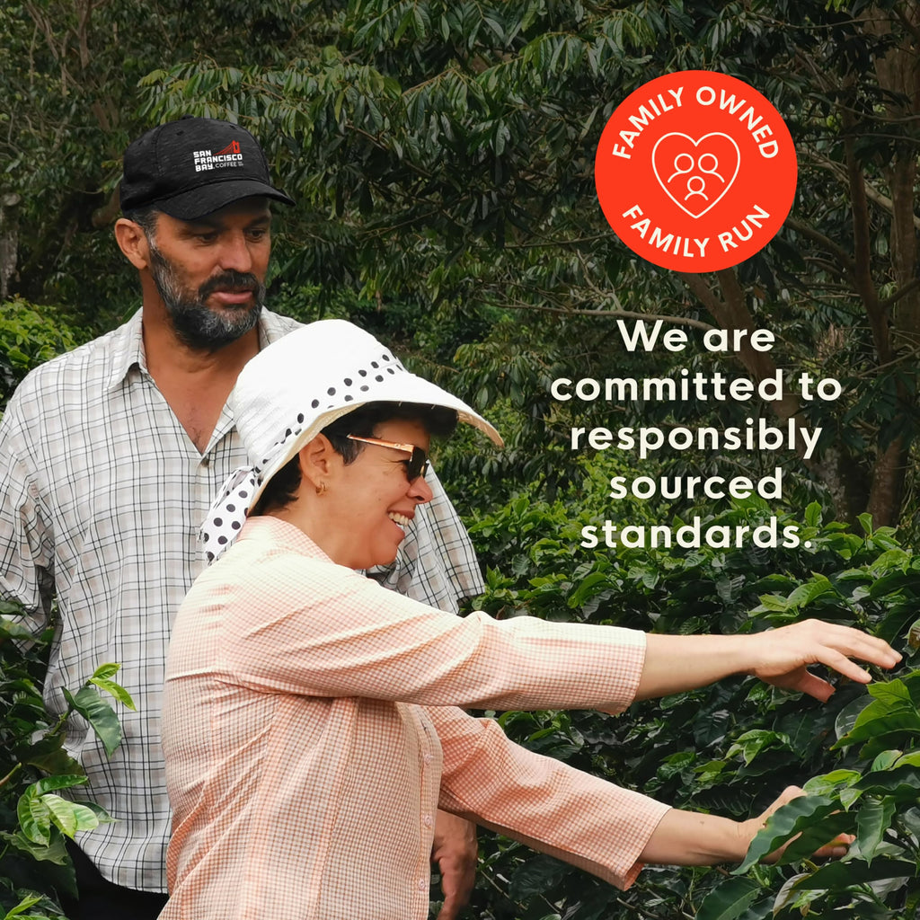 Organic Rainforest Blend K-Cup Compatible Pods, 80 ct V19472