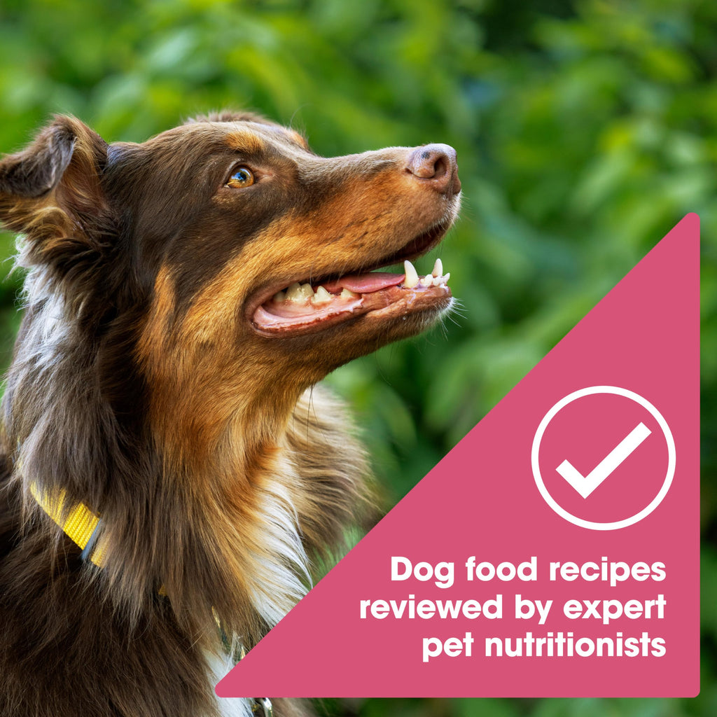 Grain Free Salmon Dry Dog Food 24 lb. Bag K14017